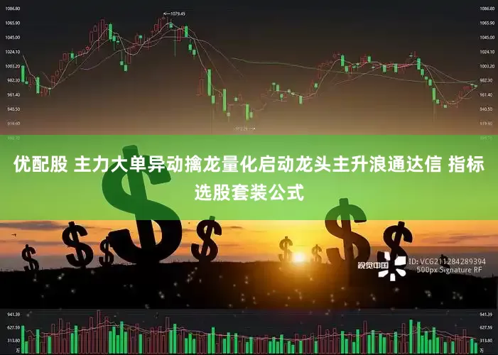 优配股 主力大单异动擒龙量化启动龙头主升浪通达信 指标选股套装公式